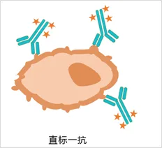 直标一抗