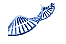 TUNEL Assay Kits