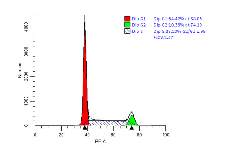 PE Anti-Human CD56 Antibody[5.1H11]