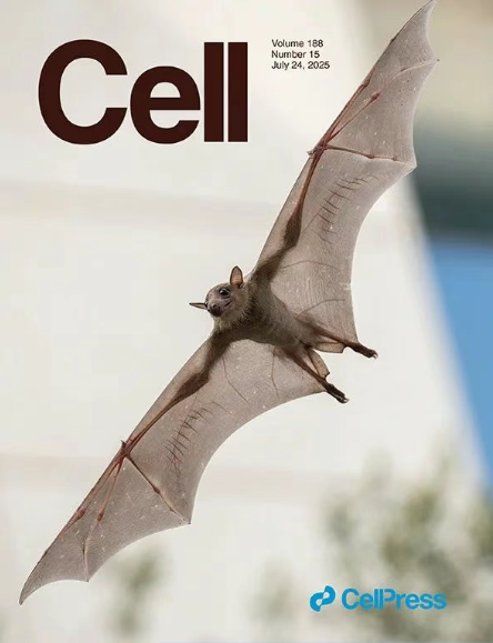 引用文献CELL封面