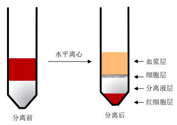 人外周血PBMC的制备及注意事项-1