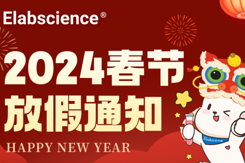 公司新闻