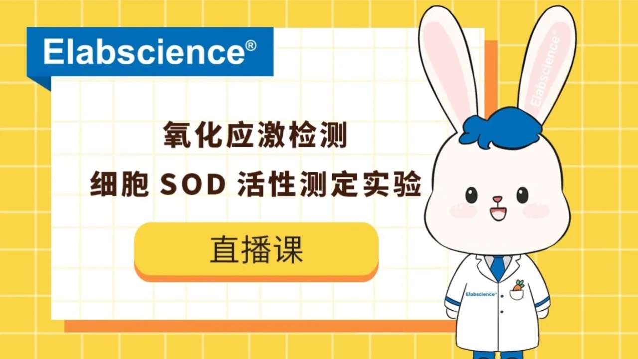 科研用 Glutathione Peroxidase 4 (GPX4) Activity Assay Kit_EBCK883M_Elabscience 【官方网站】